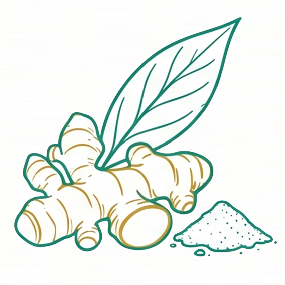 Turmeric