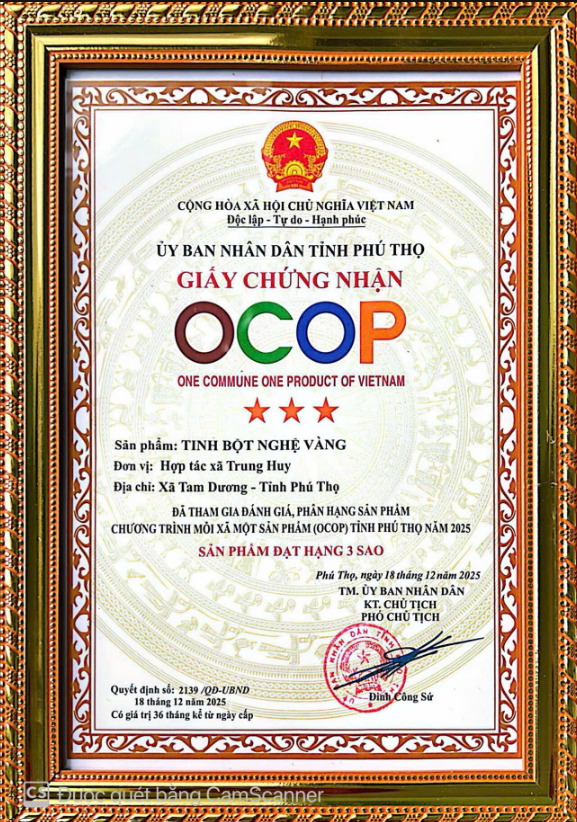 Giấy chứng nhận tinh bột nghệ vàng